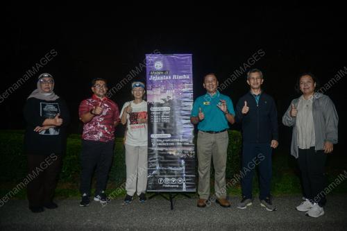 FOREST SKYWALK NIGHT
