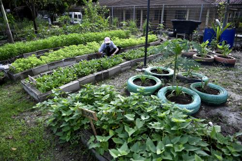 KEBUN KEJIRANAN SUNGAI BUNUS
