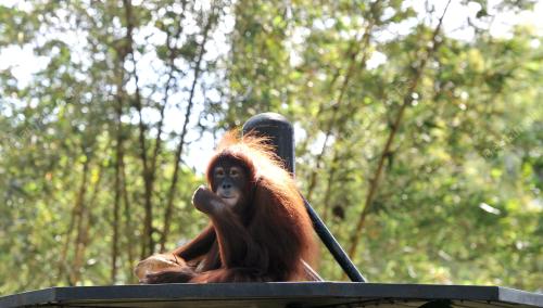 KL05_31122015_ZOO