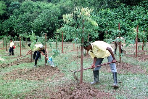 KL06-12_08_2000_TANAM_POKOK_12012016