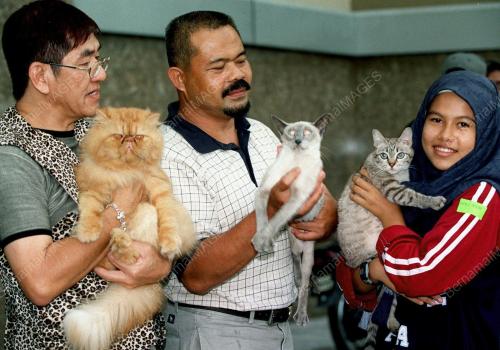 KL06-13_08_2000KUCING_WHISKAS_12012016