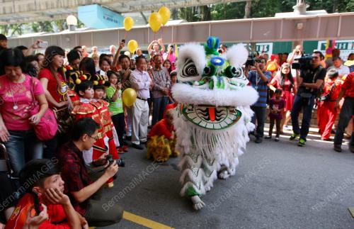 TARIAN SINGA