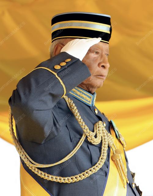 SULTAN AHMAD SHAH