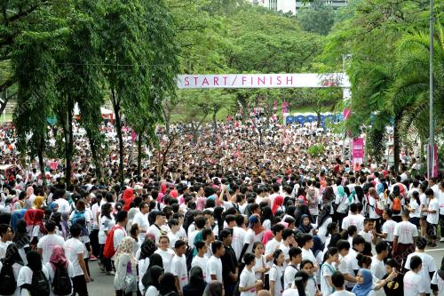 KL06_01112015_LARIAN