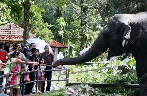 KL06_02012012_ZOO