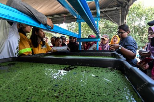 KL06_02032019_ORGANIK_BN201902261683