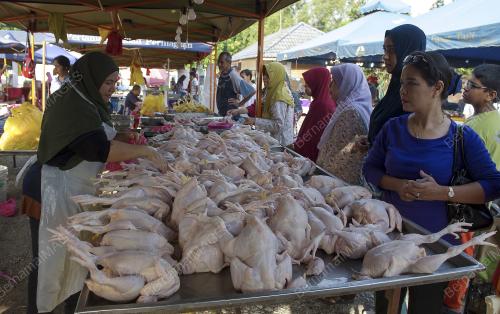 KL06_02072016_PASAR_TANI
