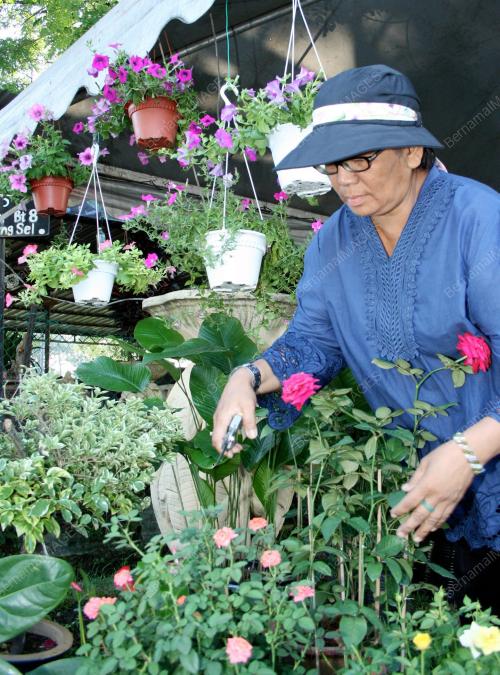 ROHANA HUSSIN