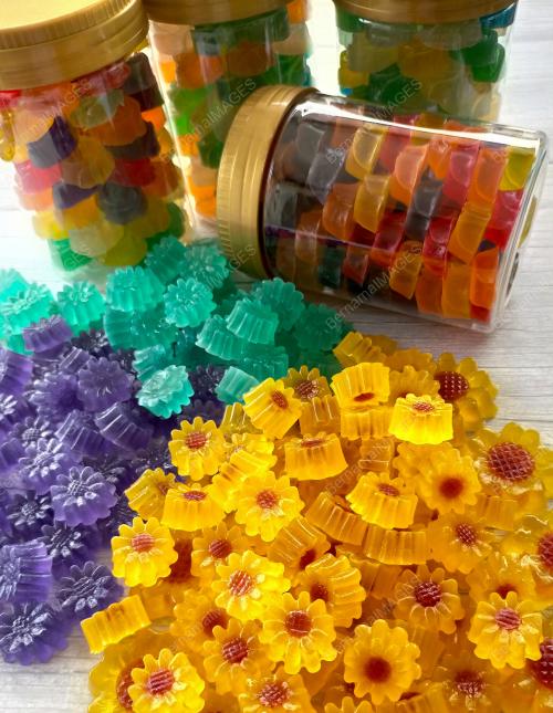 AGAR-AGAR KERING POPULAR