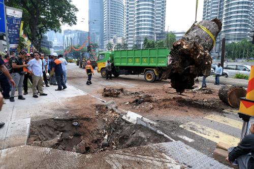 KL06_05032018_POKOK_TUMBANG
