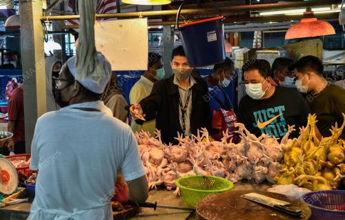 TINJAUAN AYAM MENTAH PASAR CHOW KIT