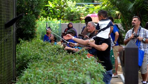 KL06_07072016_ZOO