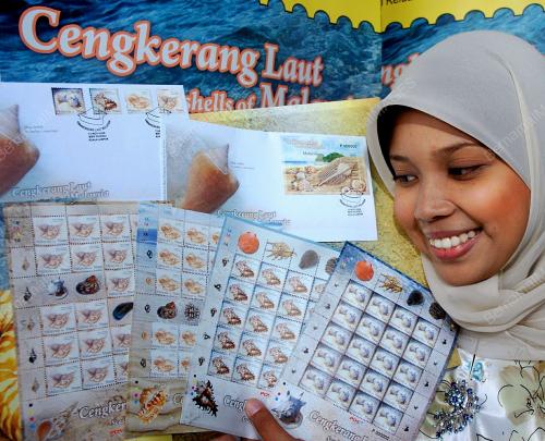SETEM CENGKERANG LAUT