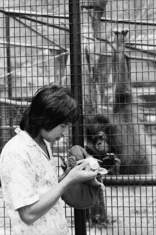 ZOO NEGARA