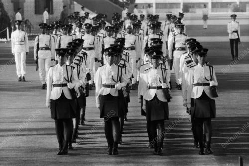 PENGARAH PENGURUSAN POLIS