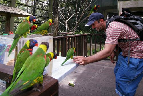 BIRD PARK