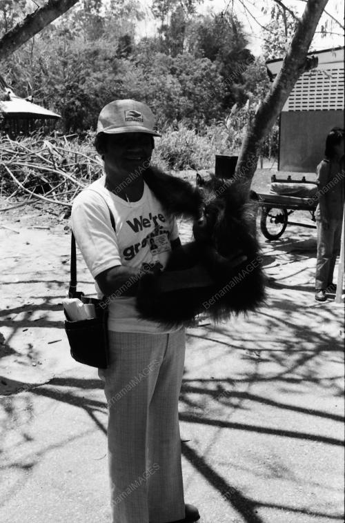 MONYET DI ZOO NEGARA