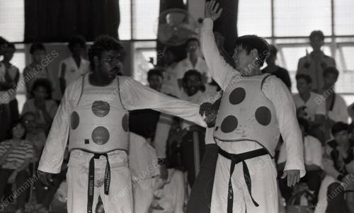 KEJOHANAN TAEKWONDO KEBANGSAAN