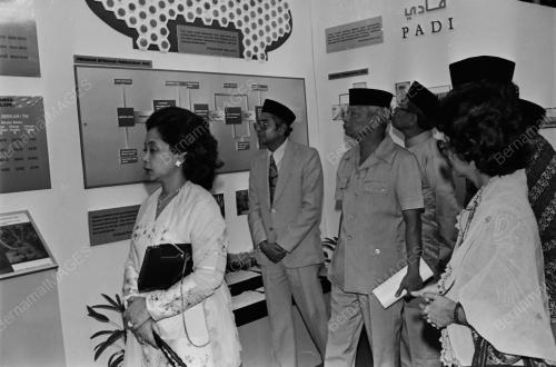YANG DI-PERTUAN AGONG