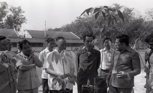 RRI