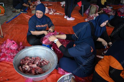 PROGRAM IBADAH KORBAN APM