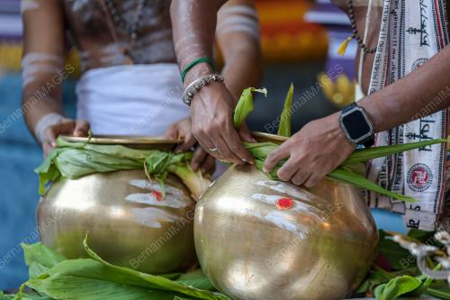 SAMBUTAN PERAYAAN PONGGAL