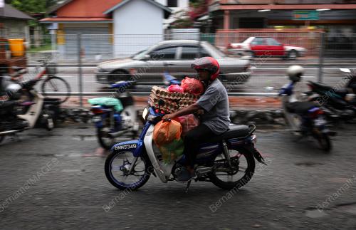 TINJAUAN SUBSIDI HARGA TELUR