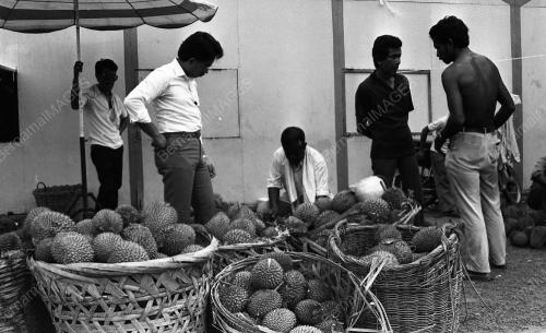 KL06_16012015_MUSIM_DURIAN