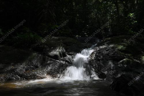 TAMAN EKO RIMBA KOMANWEL