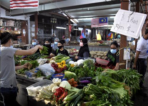 TINJAUAN HARGA SAYUR