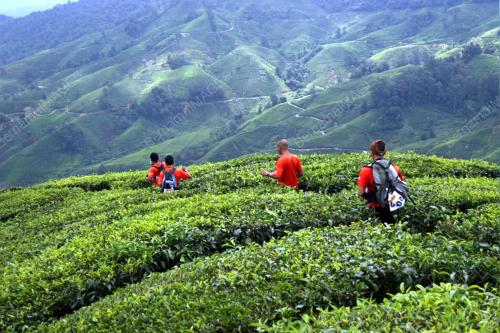 TAMAN NEGARA ECO_CHALLENGE