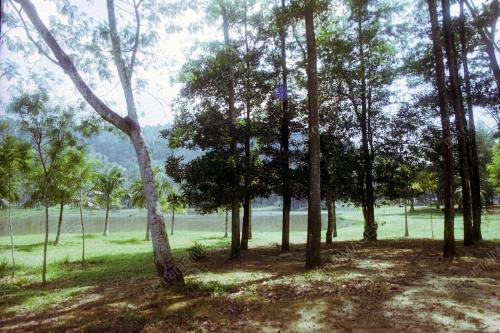 KL06_19022016_FRIM