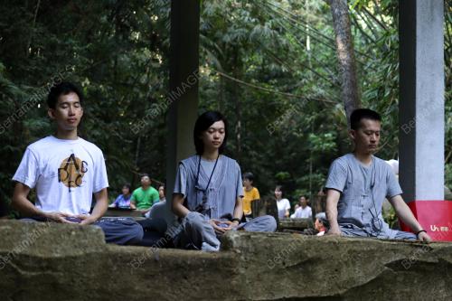 TERAPI HUTAN