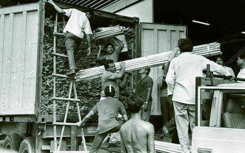 KL06_210690_ROTAN