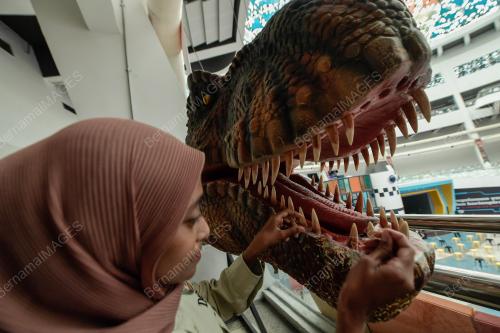 NUR SYAHIRAH HARUN