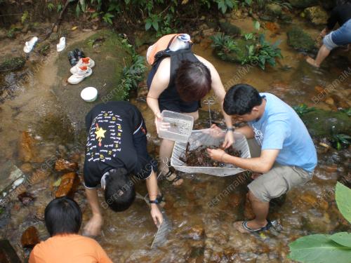 SAYANGI SUNGAI