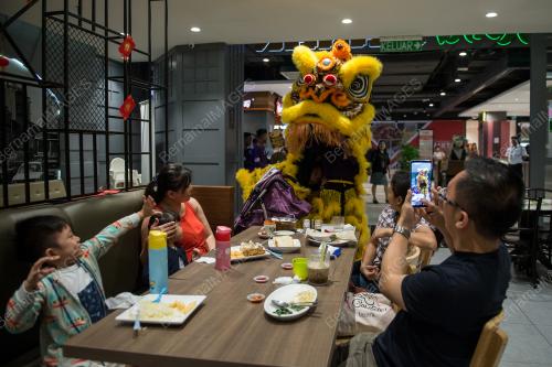 KL06_23012019_TARIAN_SINGA