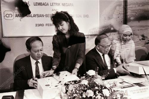 LEMBAGA LETRIK NEGARA