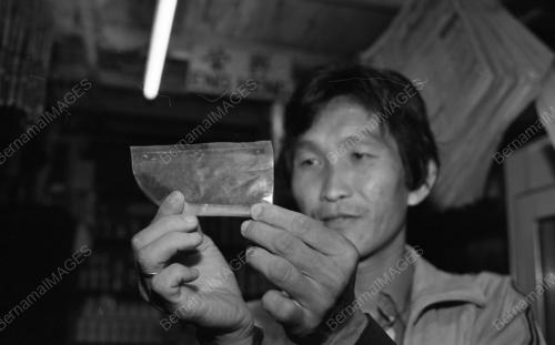 KL06_23072015_SERANGGA