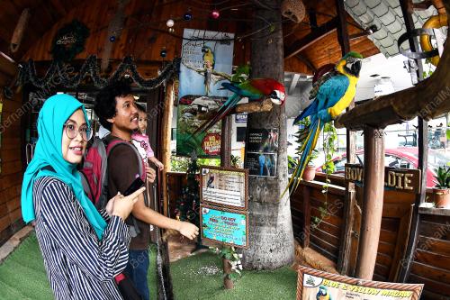 KL06_23122017_ZOO_MENARAKL_BN201712224692