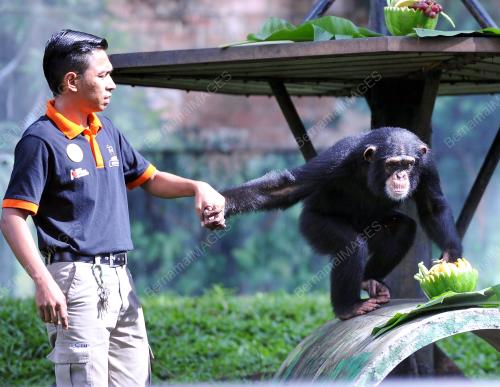 KL06_24072016_ZOO