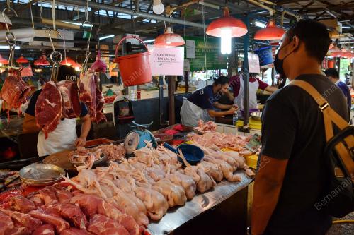 TINJAUAN AYAM HARGA SILING BAHARU