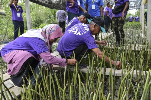 TANAMAN POKOK BAKAU KOMUNITI
