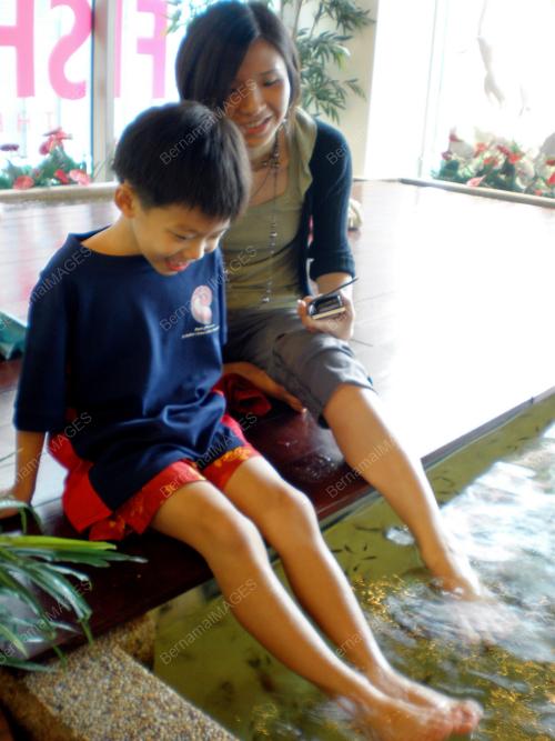 SPA TERAPI IKAN
