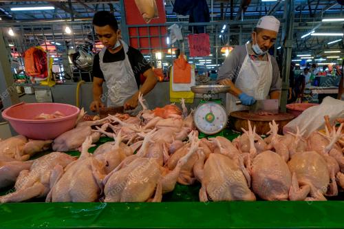 TINJAUAN BEKALAN DAN HARGA AYAM