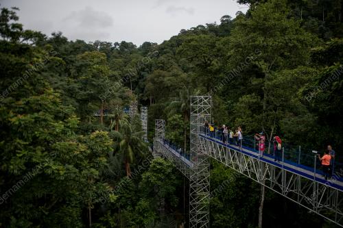 FOREST SKYWALK FRIM KEPONG