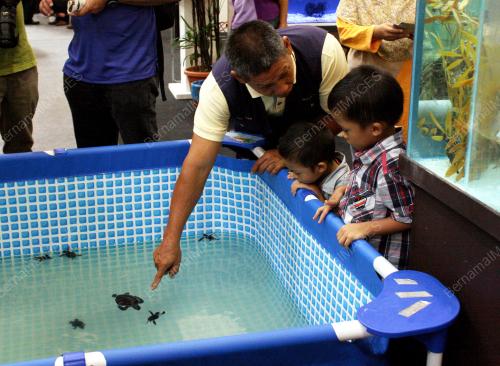 KL06_27112012_MAHA_2012