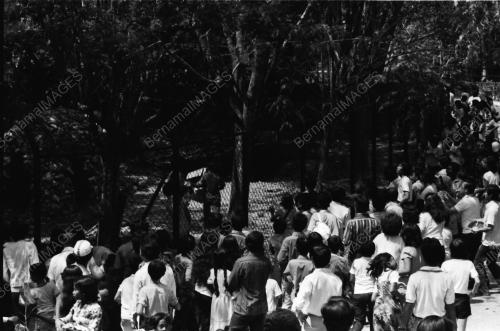 Suasana Zoo Negara