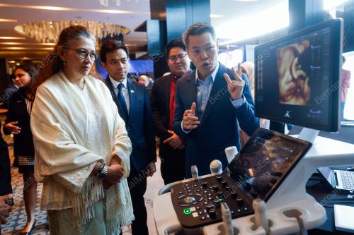 DATUK HANIFAH HAJAR TAIB
