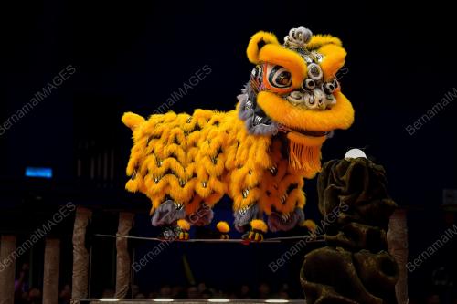 THE 15TH GENTING WORLD LION DANCE CHAMPIONSHIP